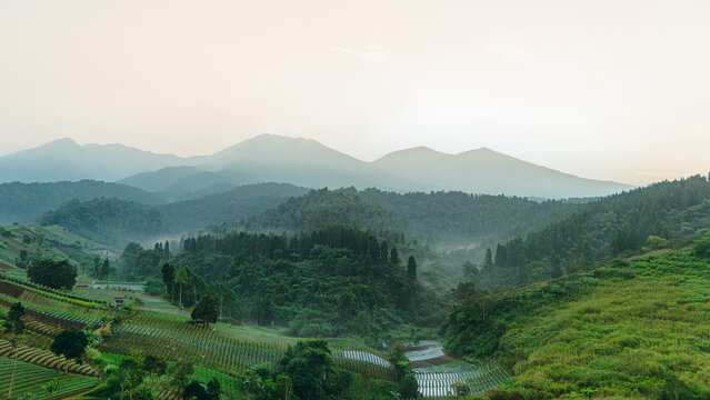 Aerial view of lush green terraced agricultural fields and dense tropical forests under a misty mountain range during sunrise Sukabumi, West Java, Indonesia.