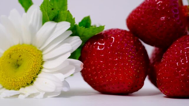 Large juicy strawberries surrounded by delicate chamomile flowers and colorful blossoms on a white background. Bright seasonal composition celebrating freshness and summer harvest.