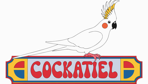 Very beautiful colorful vector illustration featuring COCKATIEL with raised crest, soft grey plumage, orange cheek patches, perched elegantly, and decorative label reading "COCKATIEL", isolated on whi