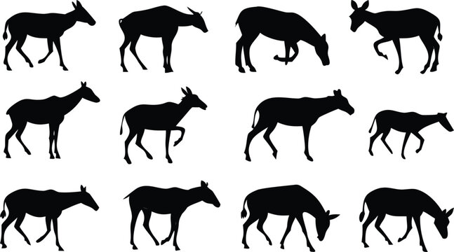 Vector art of collection of antelope silhouettes, showcasing various poses and species, perfect for wildlife or africanthemed designs