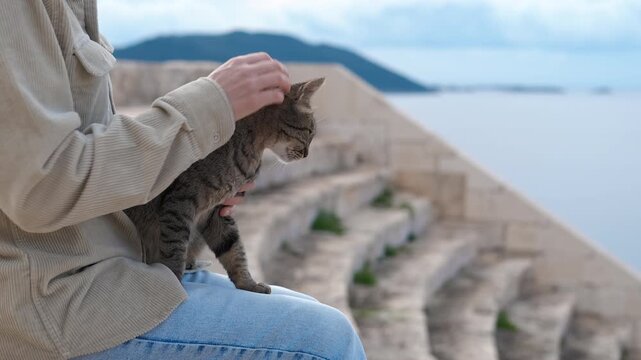 Woman petting a cat in an amphitheater by the sea. Tourist woman gently petting friendly stray tabby cat while seated on stone bleachers of historic seaside amphitheater, enjoying peaceful moment