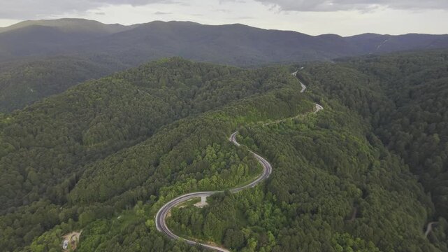 Aerial view of winding asphalt mountain road among green trees in summer. (Domani&ccedil;,İneg&ouml;l dağ yolu)