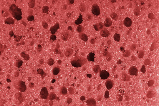 Macro, closeup of red foam sponge texture with porous, spongy and bubbly surface pattern suitable for abstract background design. Foamed polyurethane material surface