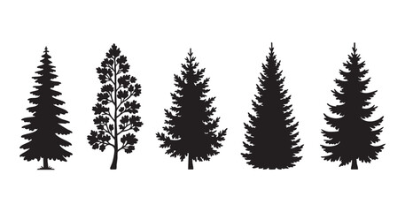 Five coniferous and deciduous tree silhouettes on transparent background vector. © Maruf