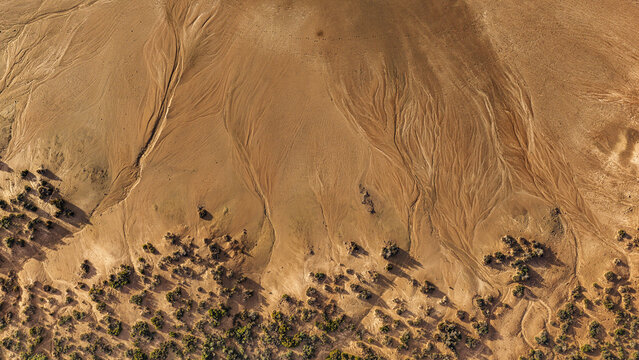 Aerial view of intricate erosion patterns and sparse desert vegetation on the dry salt lake bed of Lake Tyrrell Buloke Shire, Victoria, Australia.