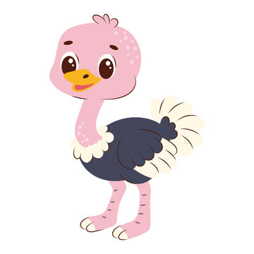 Baby Ostrich Cartoon Character Standing Smiling Safari Bird