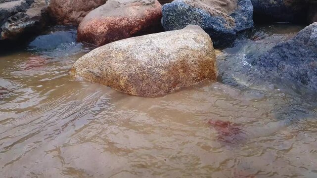 Close-up clean wellspring of flowing water stream or shallow river with sand bottom among huge stones on rocky shore of Baltic sea. Abstract minimalist aquatic texture pattern natural background.