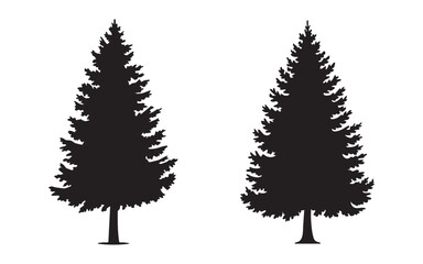 Two pine trees silhouette against transparent background for nature forest illustration. © MD