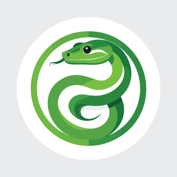Stylized Green Snake Illustration in a Circular Emblem.
