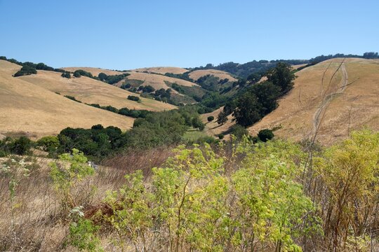 Golden Slopes and Hidden Valleys: The Quiet Rhythm of Summer Across California&rsquo;s Rolling Hills