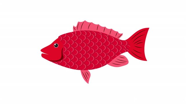 Bright red snapper fish illustration perfect for seafood menus, aquarium posters, oceanrelated designs, and vibrant culinary content creation.