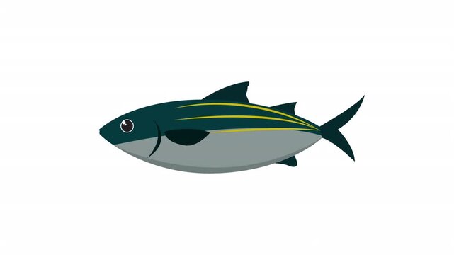Skipjack tuna fish in blue, grey, gold, and yellow stripes, ideal for aquatic designs and seainspired projects.