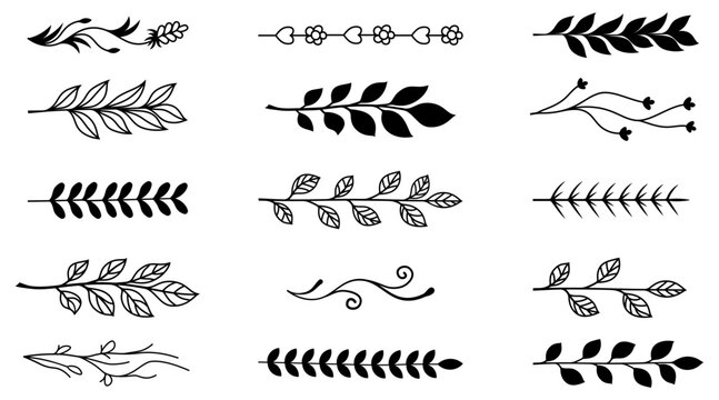 Hand drawn floral dividers set. Elegant botanical line borders and leafy horizontal elements for text separation.
