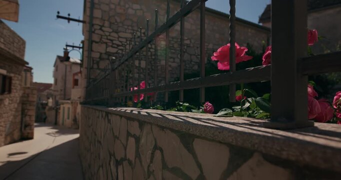 Pink flowers grow along an iron fence beside historic stone buildings in the old town of Primosten, Croatia.