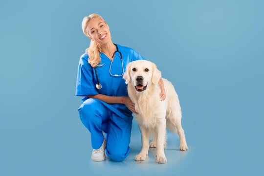 Happy Female Veterinarian Smiling While Kneeling Next To Golden Retriever Dog In Clinic Setting, Providing Care And Attention, Creating Positive Atmosphere For Pet And Pet Owner, Healthcare Concept.