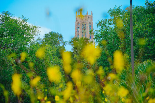 The landscape of Bok tower garden in lake wales of Florida