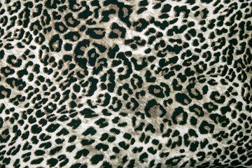 Obraz premium Leopard print animal pattern fabric showing spots and rosettes