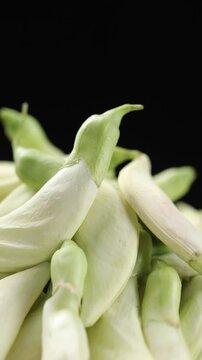 Pile of fresh white vegetable hummingbird flowers or Agati slowly rotating on a black background.