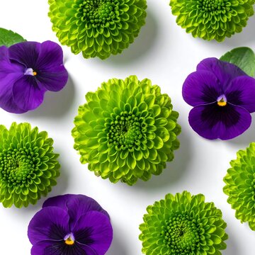 A vibrant floral arrangement featuring purple pansies and green chrysanthemums on a white background