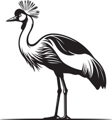 Obraz premium Black and white crowned crane bird standing on one leg Vector
