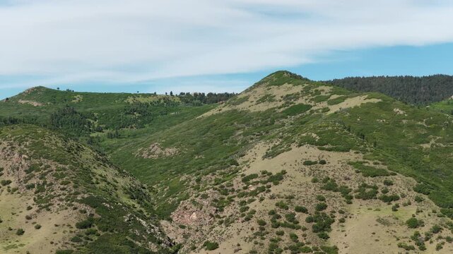 Aerial of front range foot hills in Littleton Colorado in summer with grassy slopes coniferous patches