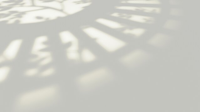Sunlight through arched windows with gobo light, neutral shadows, and leaves. Perfect for a studio product background