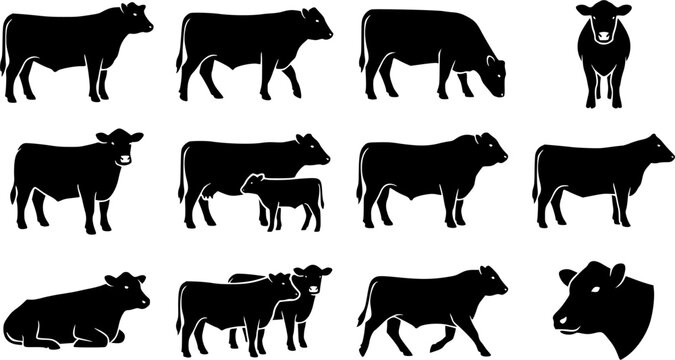 Aberdeen angus silhouette icon set, flat black glyph style, pure white background