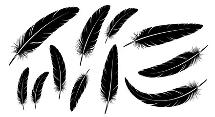 Black feather icons, feather set, silhouette feathers, 10 feather graphics © Adam