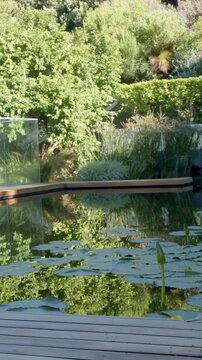 Vertical video: Rippling pond with lily pads and bud on home wooden deck, glass rail left by breeze