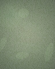 Fototapeta premium Close-up texture of green grass pattern