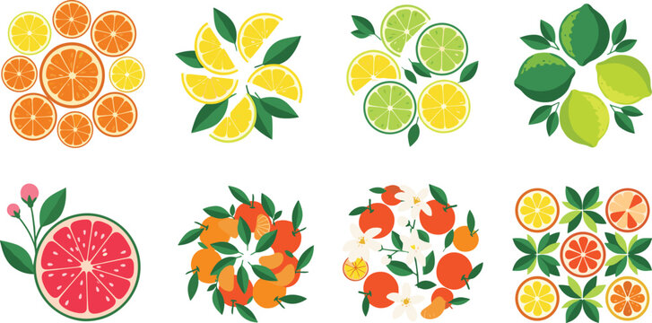 Colorful Citrus Fruit Icon Set with Orange, Lemon, Lime, Grapefruit, and Mandarin Slice Arrangement for Food, Juice, and Tropical Summer Designs