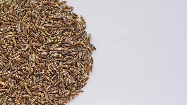 raw dry cumin seed stack on white background.ai 