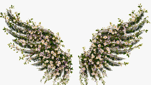 floral angle feather wings on white background.ai 