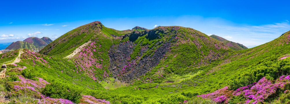 天狗ヶ城・中岳・空池／ミヤマキリシマ満開の山々_大分県 くじゅう連山