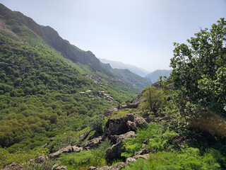 Obraz premium Deep mountain valley with rocky foreground, lush spring orchards, a distant hillside village, and layered peaks under bright sky. 📍 Hawraman Takht, Kurdistan, Iran 