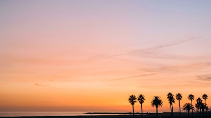 Fototapeta premium Soft Orange Sunset Background with Palm Tree Silhouettes