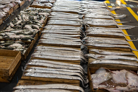 Various Fresh Seafood