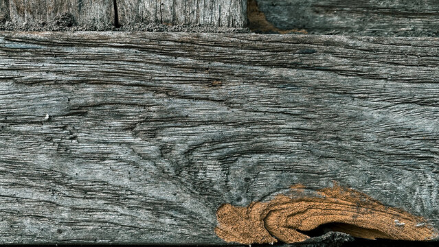 Vertical close-up of weathered old tree log with rough brown and grey bark, deep natural cracks, and textured wood lines.