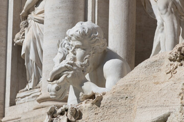 Naklejka premium Trevi Fountain details