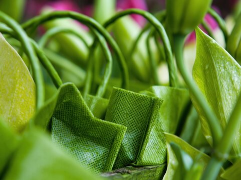 Green reusable shopping bags with loop handles in a lush botanical garden, featuring porous polypropylene texture for sustainable living content