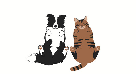 Fototapeta premium Cute border collie dog and tabby cat lying on their backs with paws up.