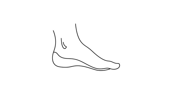 Simple Human Foot Outline Vector Illustration, Side View Anatomy of Body Part, Health, Medical, Wellness Icon Design
