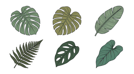 Hand drawn tropical leaves collection in muted green tones © Giesel