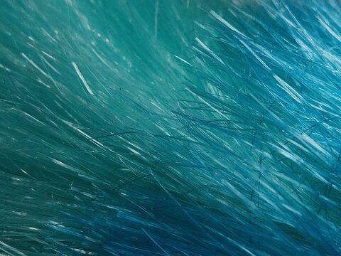 Blue Raffia Duster Fibers Macro Texture Background