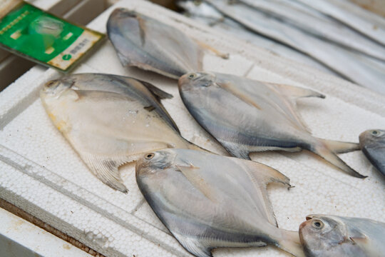 Fresh silver pomfret fishes with wechat pay sign on display at Damanong morning market in Hangzhou