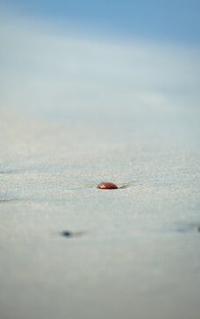 single rock on the beach