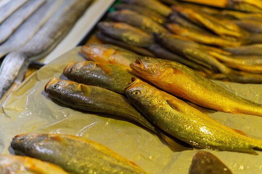 Fresh yellow croaker fishes on display at a seafood stall in Damanong morning market in Hangzhou