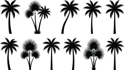 Obraz premium Palm tree silhouettes against a white background for tropical design elements