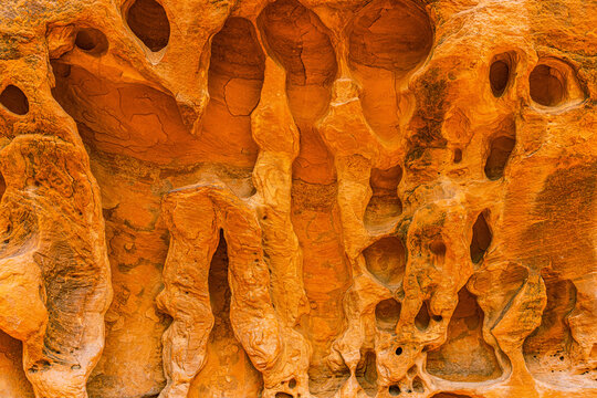 Abstract close-up of weathered orange sandstone honeycombed with tafoni erosion pockets and vertical fins, Arches National Park, Utah.