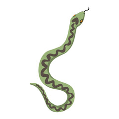 Naklejka premium vector drawing European adder snake, viper, isolated at white background, hand drawn illustration